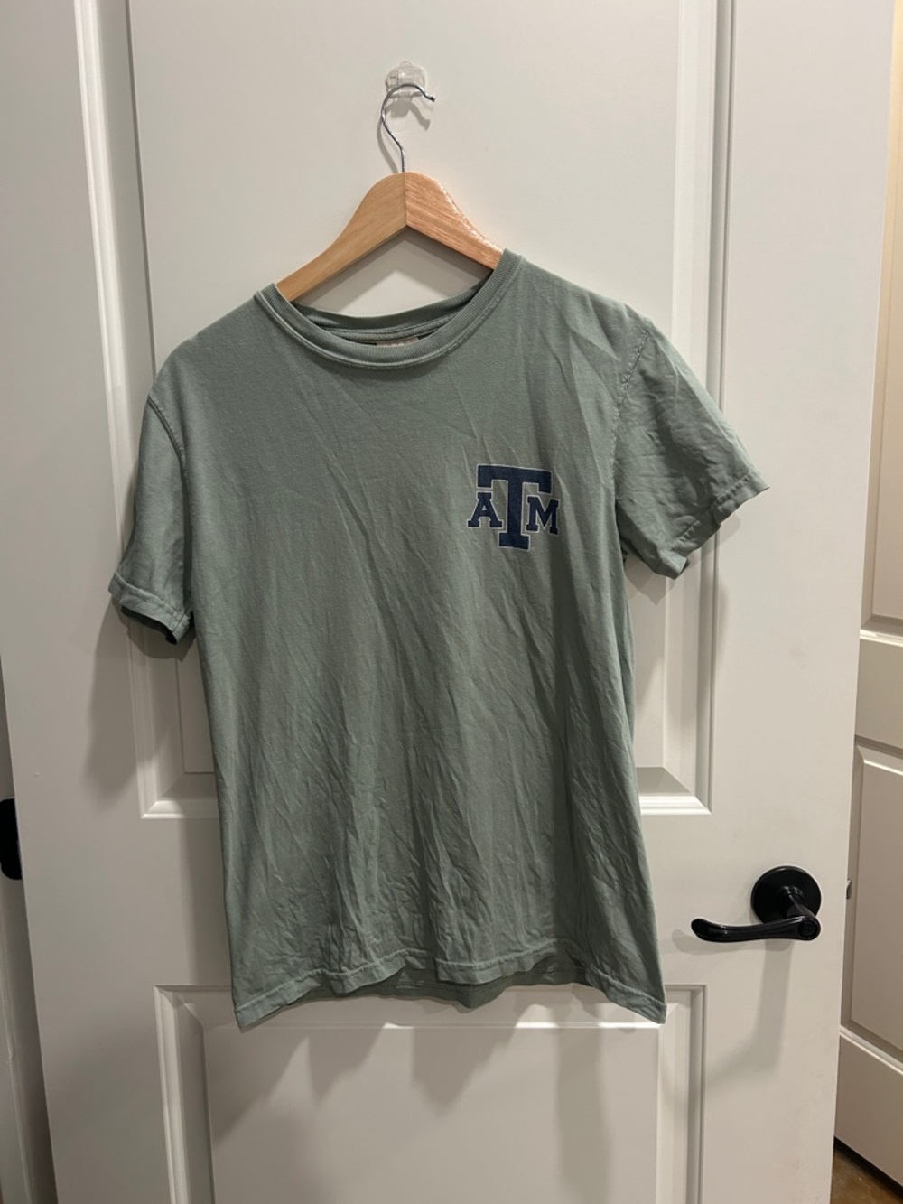 Comfort Colors Short-Sleeve Texas A&M Tee in Sage Green with Reveille on Back